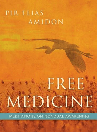 Free Medicine: Meditations on Nondual Awakening — front cover