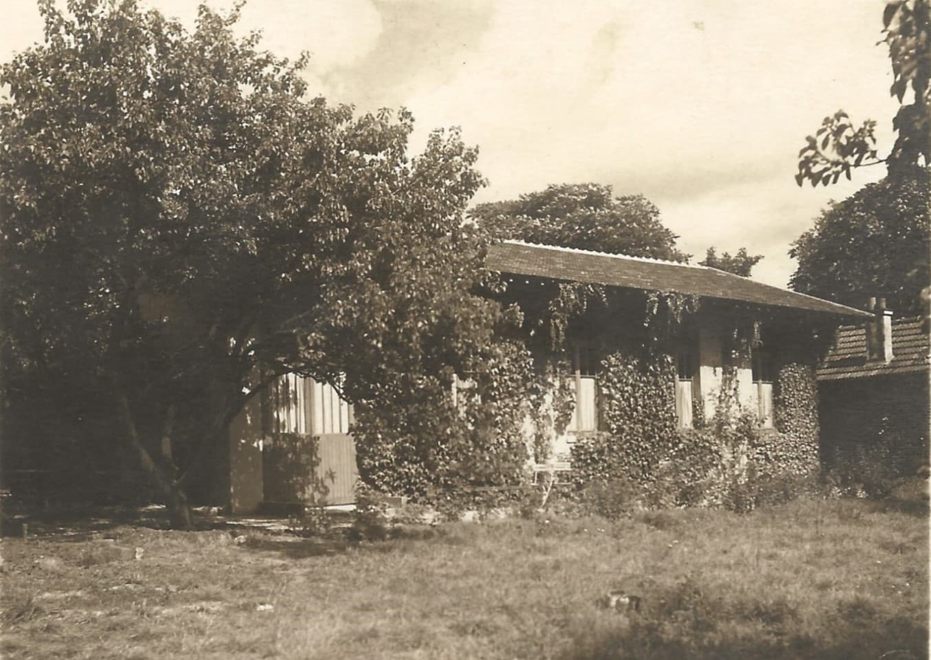 Chronicle 1925